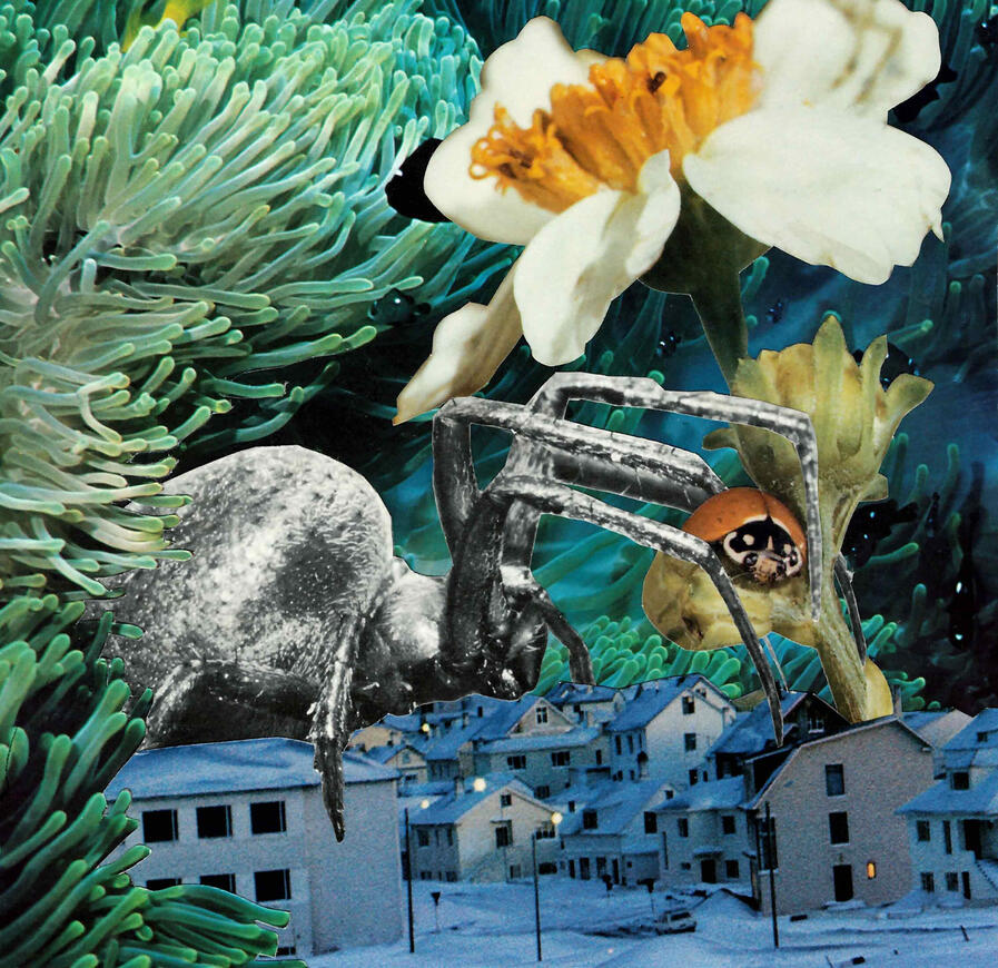Sarah Alonzo Artist - Collage Art